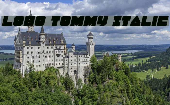 Lobo Tommy Italic Example 1