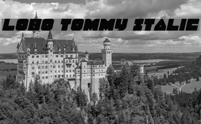 Lobo Tommy Italic Font examples