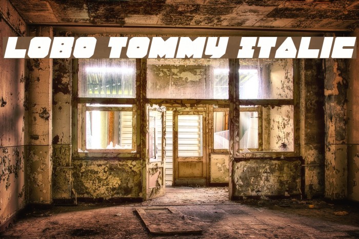 Lobo Tommy Italic Example 2