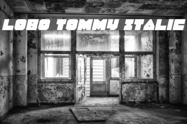 Lobo Tommy Italic Font examples