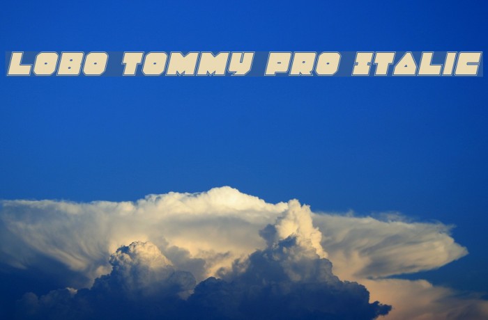 Lobo Tommy Pro Italic Font examples