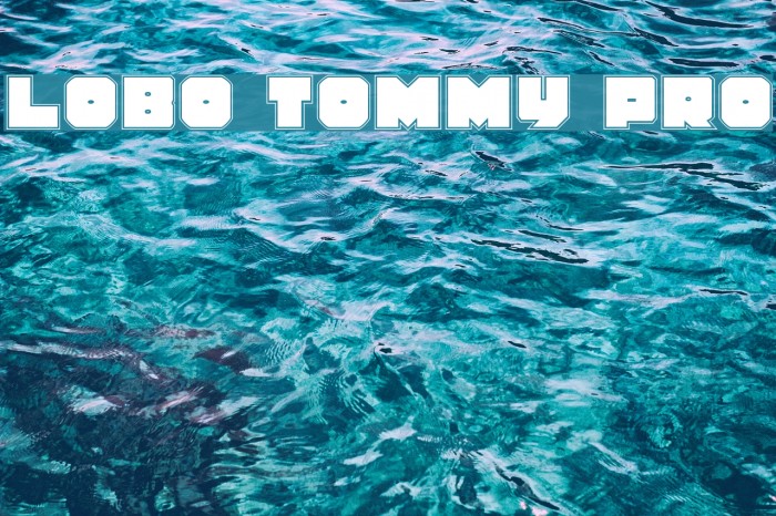 Lobo Tommy Pro Font examples