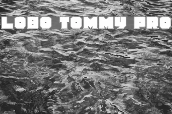 Lobo Tommy Pro Example 1