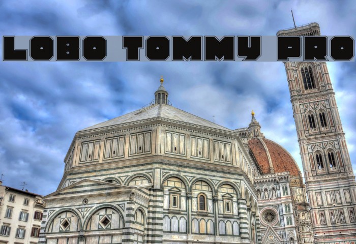 Lobo Tommy Pro Font examples