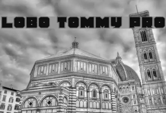 Lobo Tommy Pro Example 3