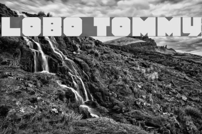 Lobo Tommy Caratteri examples