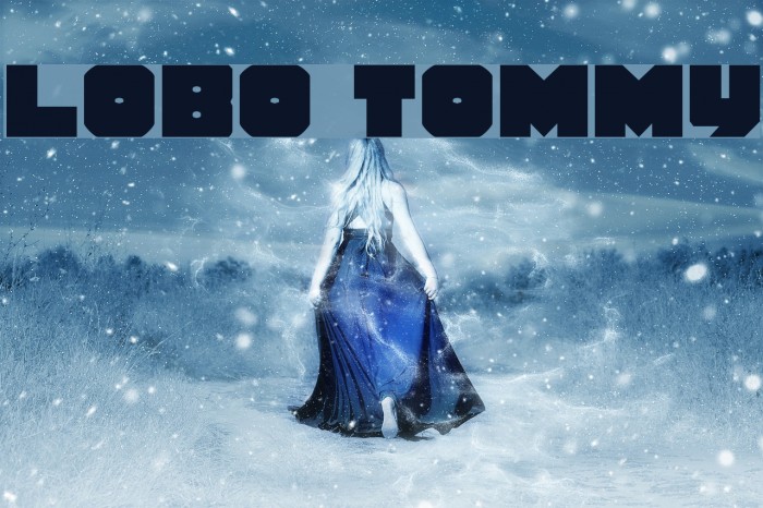 Lobo Tommy Caratteri examples