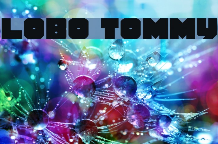 Lobo Tommy Caratteri examples