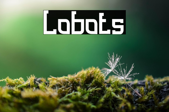 Lobots Example 1
