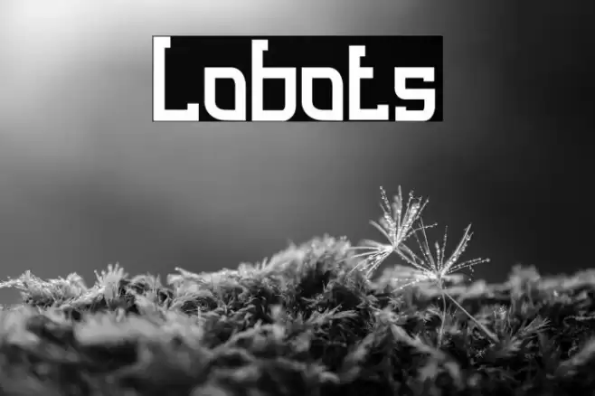 Lobots Font examples