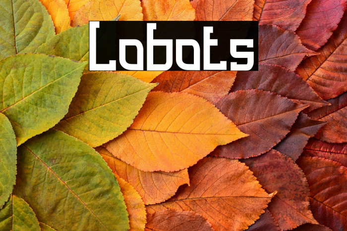 Lobots Example 2