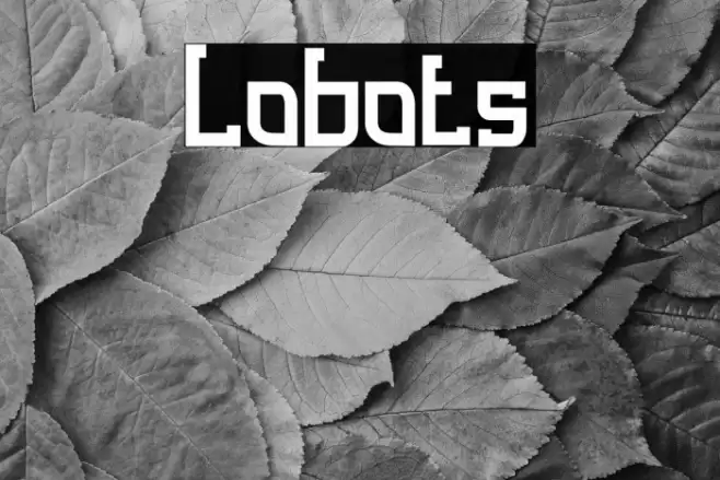 Lobots Font examples