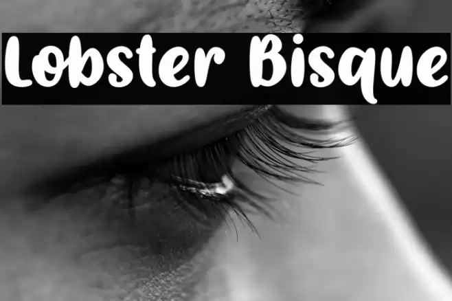 Lobster Bisque Font examples