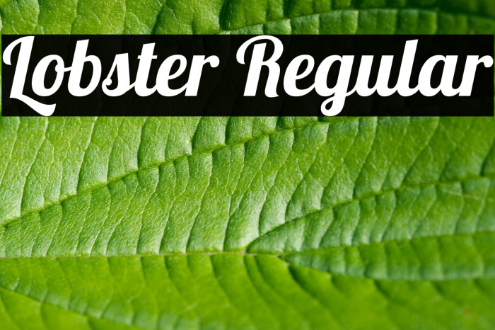Lobster Regular Font examples