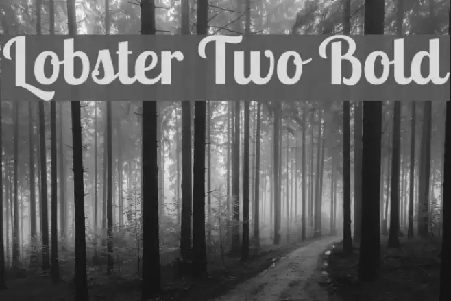 Lobster Two Bold Font examples