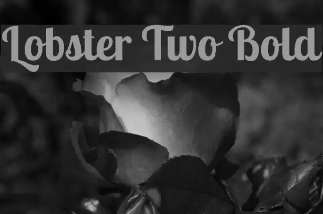 Lobster Two Bold Font examples