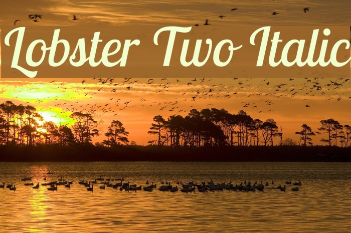 Lobster Two Italic Font examples