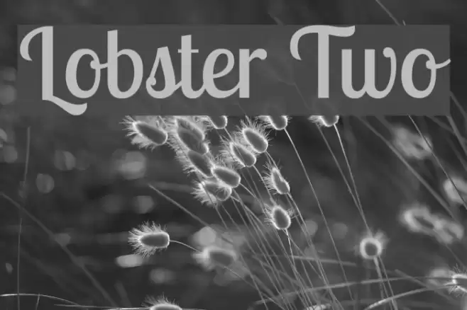 Lobster Two Font examples