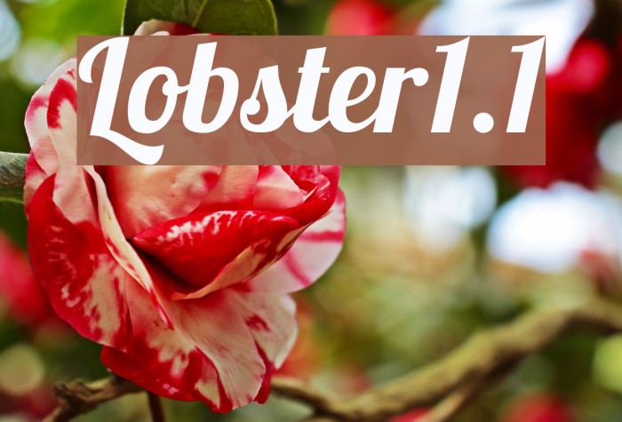 Lobster1.1 Font examples