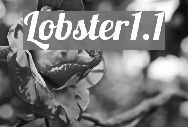 Lobster1.1 Example 3