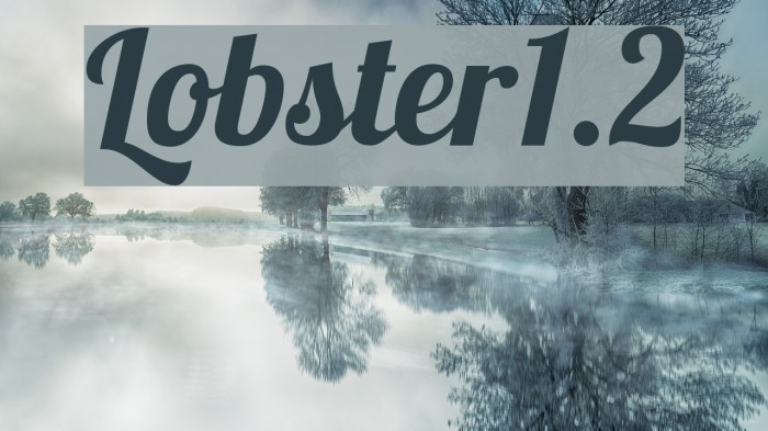 Lobster1.2 Polices examples
