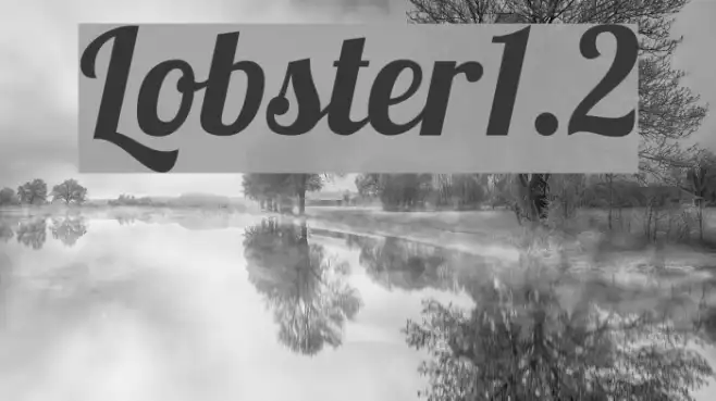 Lobster1.2 Example 1