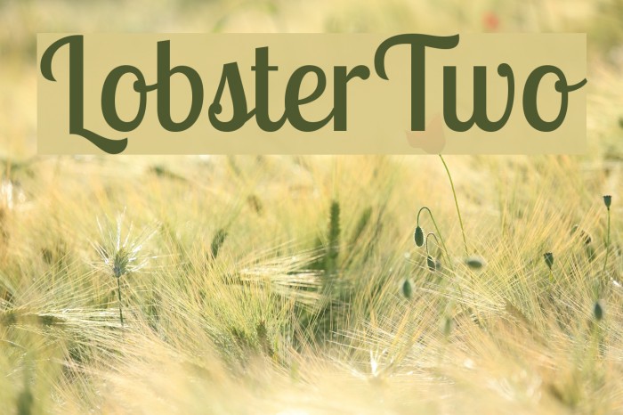 LobsterTwo Font examples