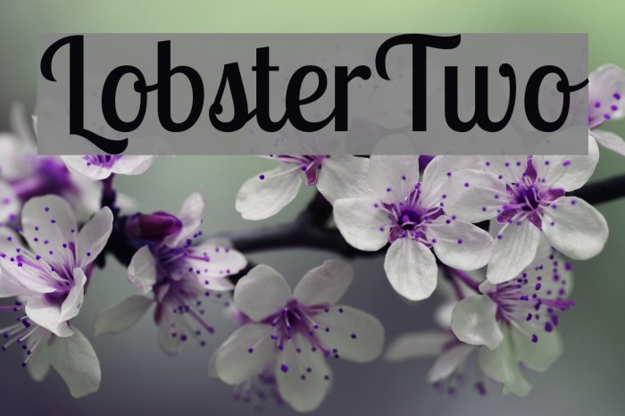 LobsterTwo Font examples