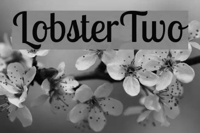 LobsterTwo Example 2