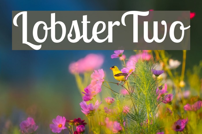 LobsterTwo Font examples