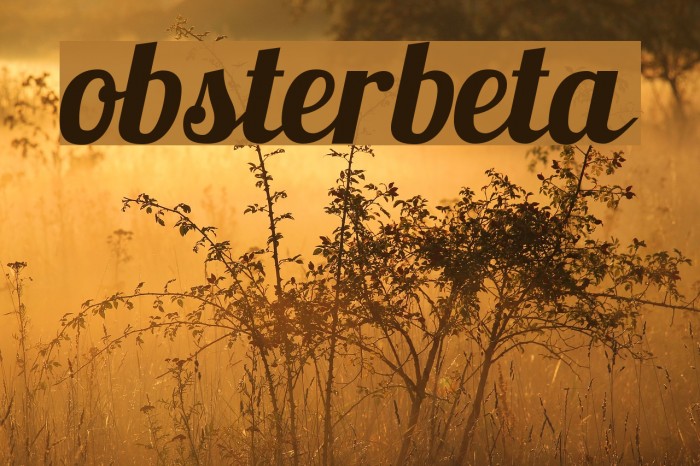 Lobsterbeta10 Example 1