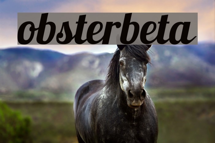 Lobsterbeta11 Font examples