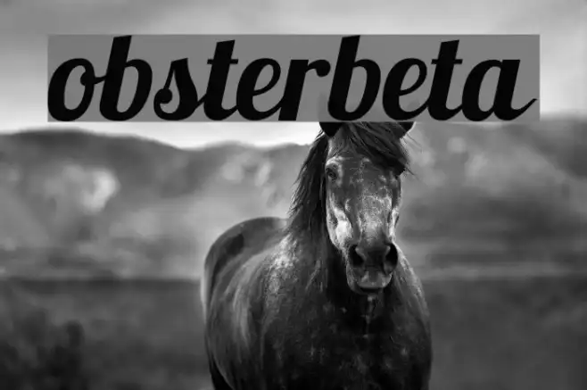 Lobsterbeta11 Example 1