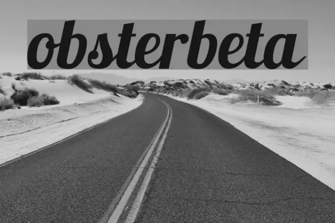 Lobsterbeta11 Example 2