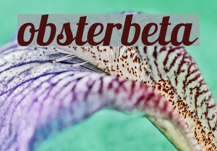Lobsterbeta12 Font examples