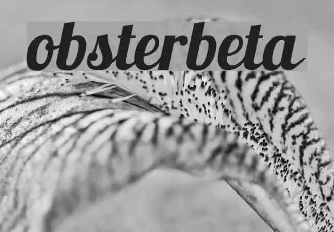 Lobsterbeta12 Example 1