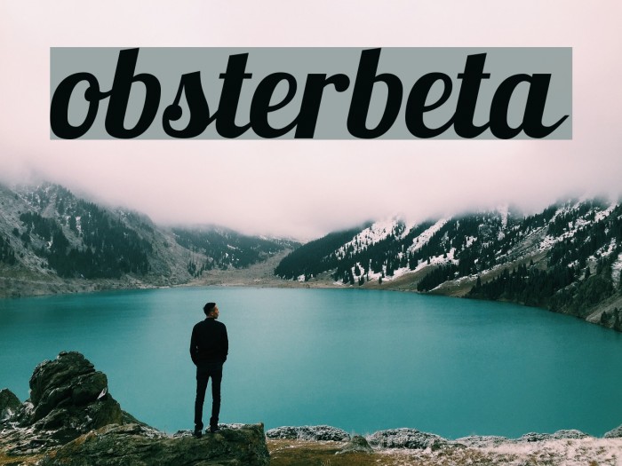 Lobsterbeta12 Font examples
