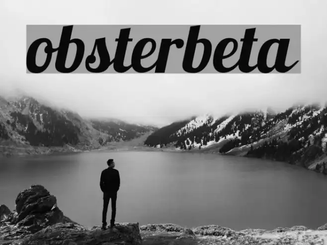Lobsterbeta12 Example 2
