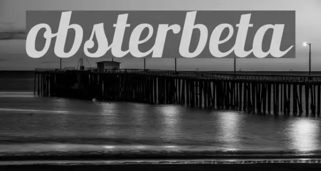 Lobsterbeta12 Example 3