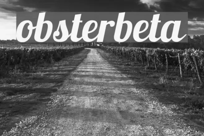 Lobsterbeta13 Example 1