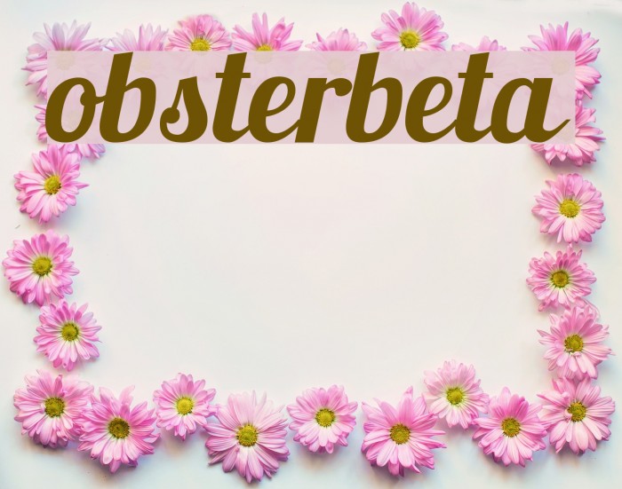 Lobsterbeta4 Example 1