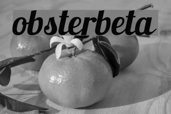 Lobsterbeta4 Font examples