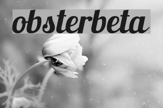 Lobsterbeta5 Font examples