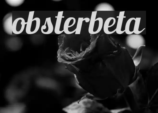 Lobsterbeta5 Font examples