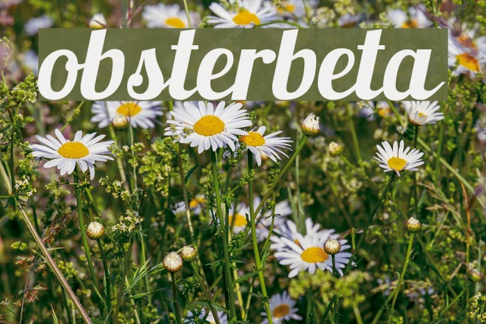 Lobsterbeta6 Font examples