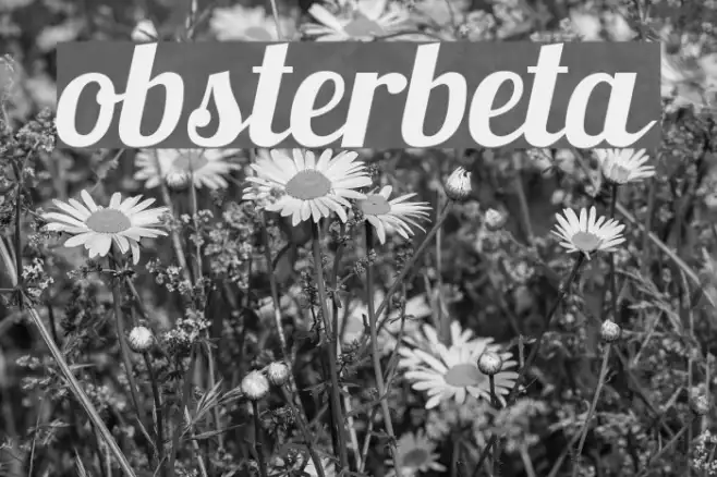 Lobsterbeta6 Example 3