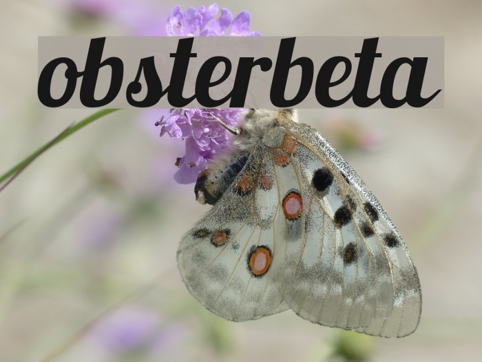 Lobsterbeta7 Example 2