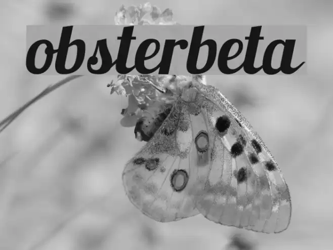 Lobsterbeta7 Font examples