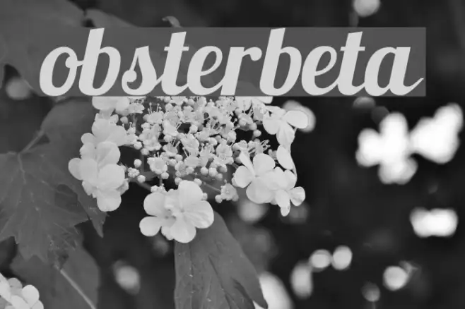 Lobsterbeta8 Example 2