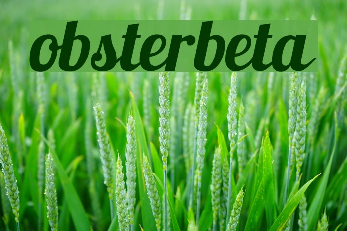 Lobsterbeta9 Example 2